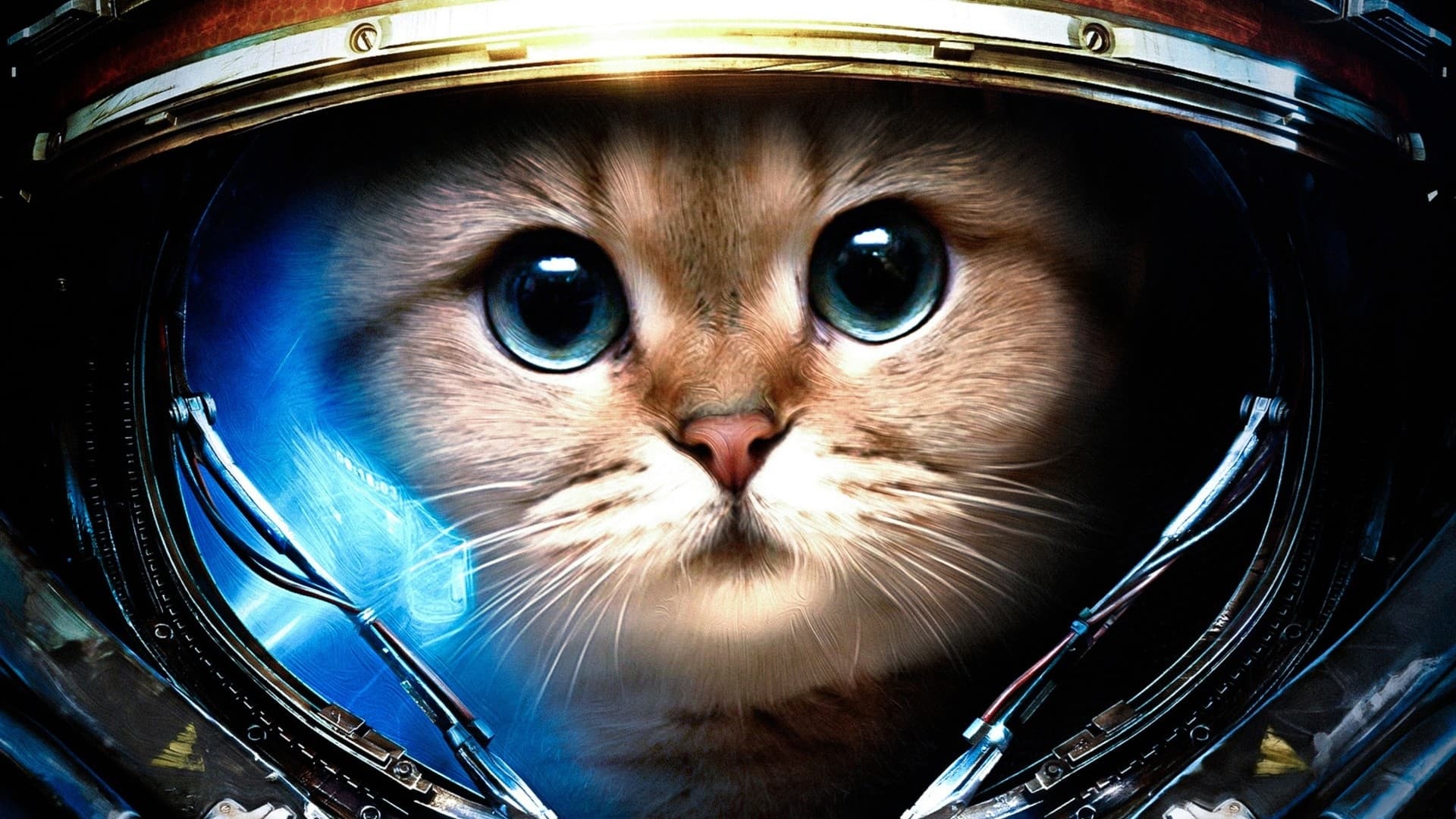 StarCraft 1 Bot Preview